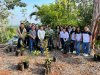 Fomentan educación integral y reforestación en la Escuela de Contaduría y Administración Campus VII Pichucalco