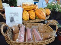 Éxito y Sabor: 1er Feria del Cacao en la Escuela de Contaduría y Administración C-VII Pichucalco